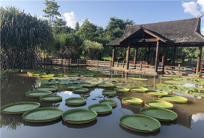 日照会议场地分类—日照会议旅游景色