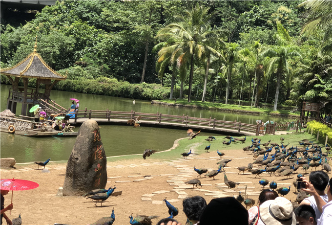 日照会议场地分类—日照会议旅游景色