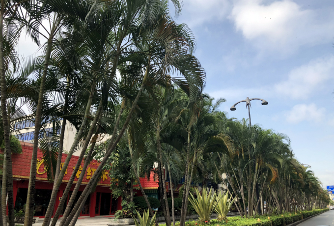 日照会议旅游目的地 日照会议旅游目的地